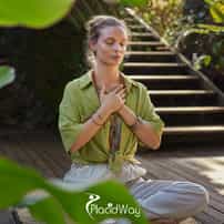 Alternative Medicine in Mexico: Understanding Integrative Treatment Approaches and Patient Choices